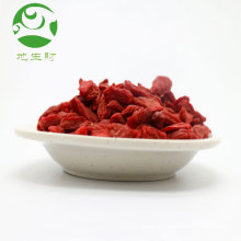 Bulk Food Gefrorene getrocknete Bio-Goji-Beeren